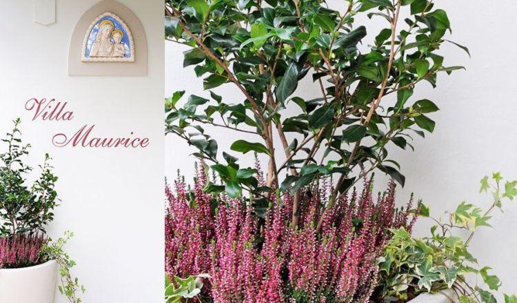 Residence Villa Maurice Stresa Kültér fotó